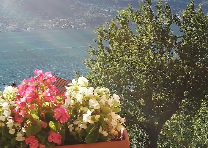 Casa Eleonora Tatil Evi Lezzeno