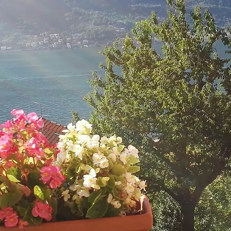 Ca' Eleonora Prázdninový dům Lezzeno